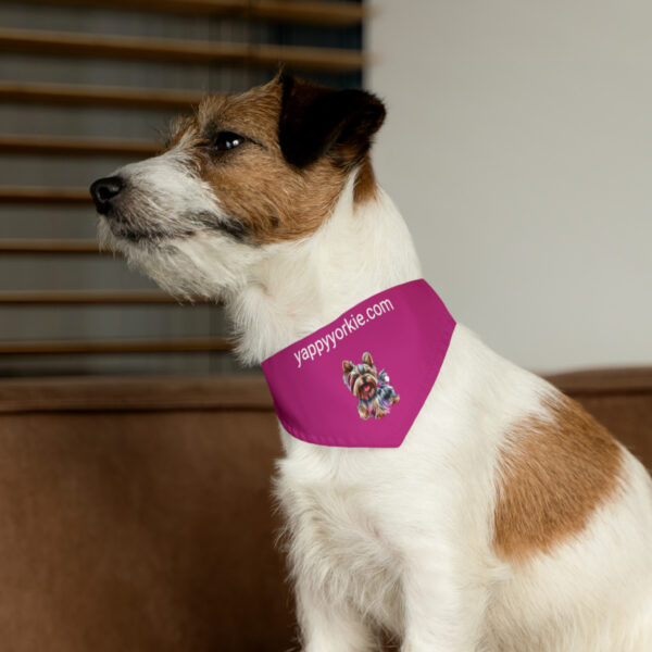 Happy Yorkie Bandana Collar Pink - Image 5