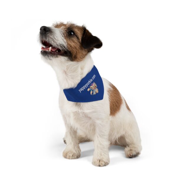 Yorkie Groomer Bandana Collar Blue - Image 2