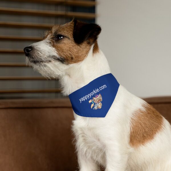 Yorkie Groomer Bandana Collar Blue - Image 3