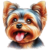 Yappy Yorkie