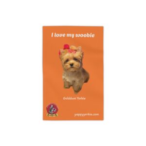 Exotic Golddust Yorkie Woobie